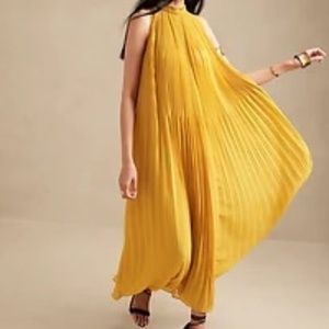 Banana Republic Radiant Maxi Dress (NWT)